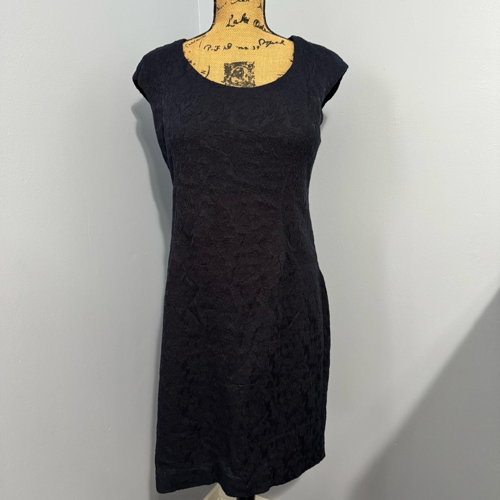 Ann Taylor Navy Lace Dress
